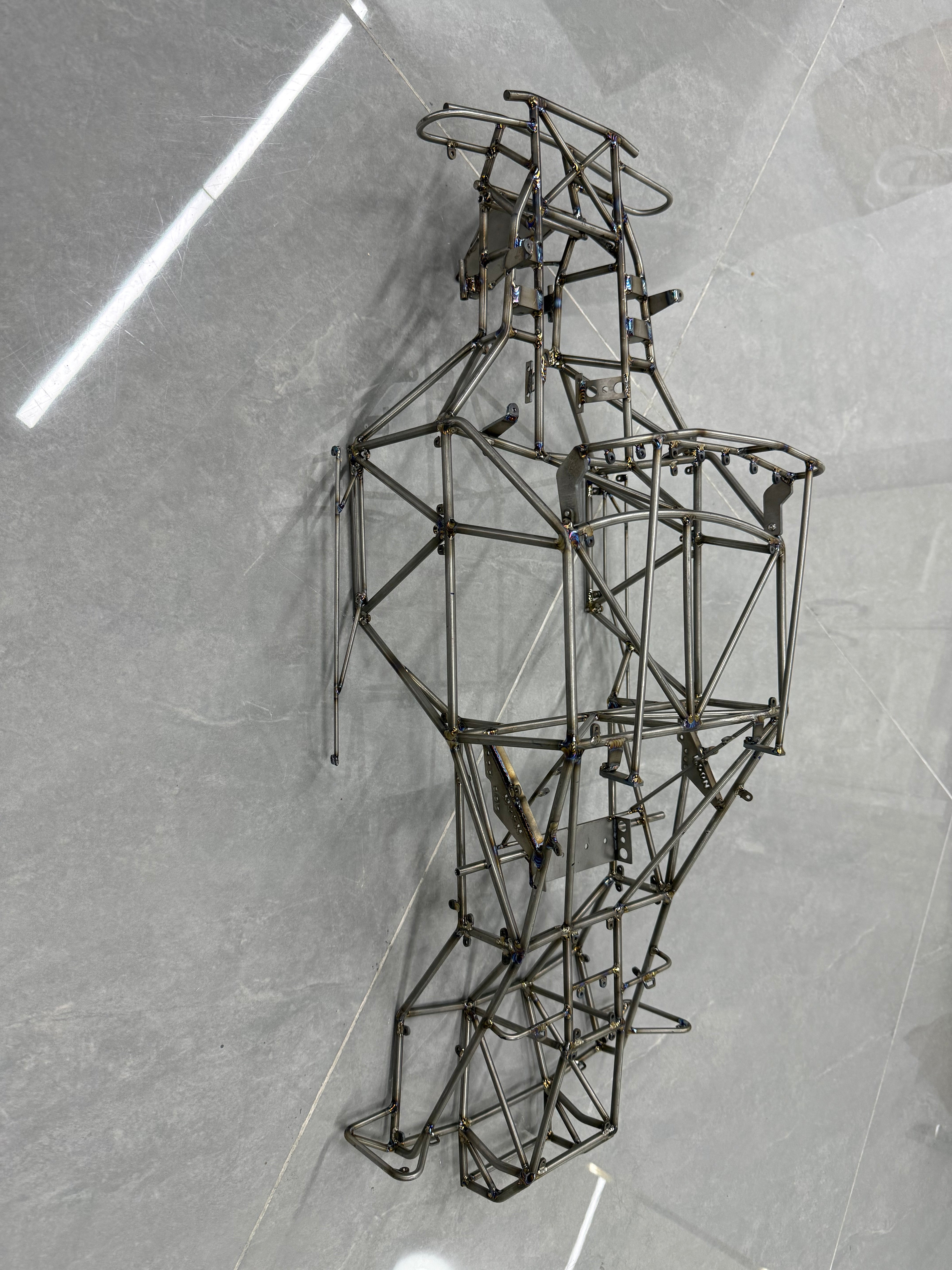 UDR Titanium Alloy Cage Customizable