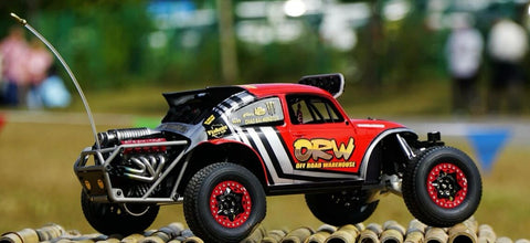 1/10 Handcrafted Custom Volkswagen Beetle